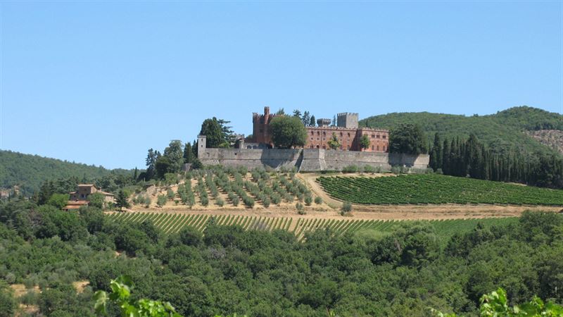 Castle winery online