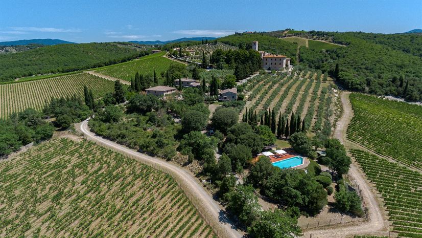 The villa among vineyards, from above