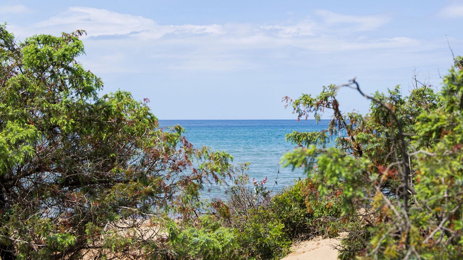 Rimigliano Coastal Park