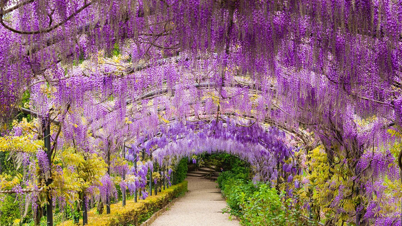 Garden of Villa Bardini, Florence