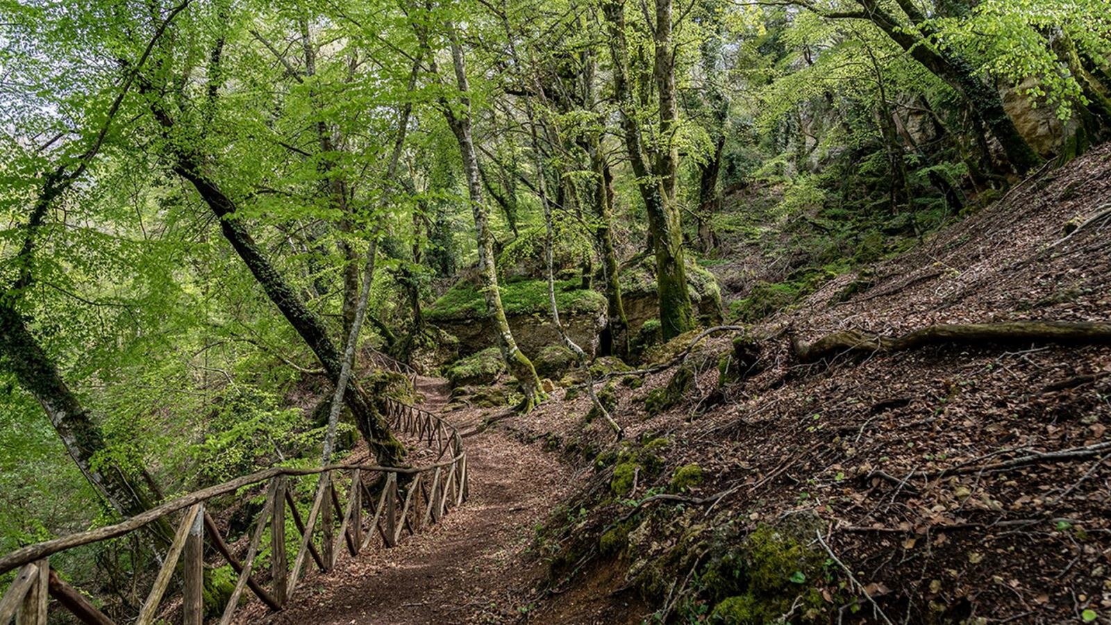 Pietraporciana Nature Reserve